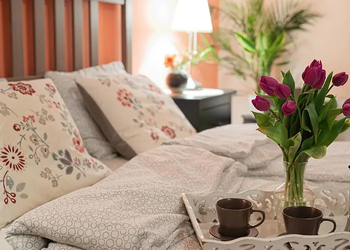 Negroni كراكوفيا