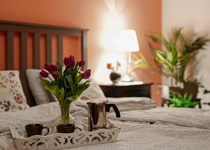 Negroni * كراكوفيا