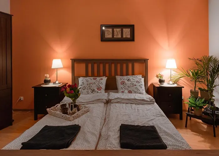 Negroni * كراكوفيا