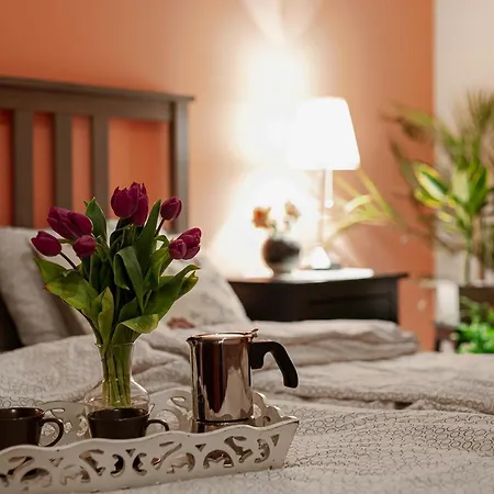 Negroni * 克拉科夫