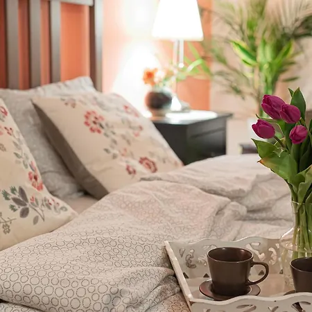 Negroni クラクフ